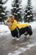 Raincoat jumpsuit for medium breeds, Yellow-black, 2L 43-45cm, Corgi, Men