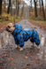 Winter jumpsuit for small breeds, Assorts, 2M 33-35cm, French Bulldog, Men