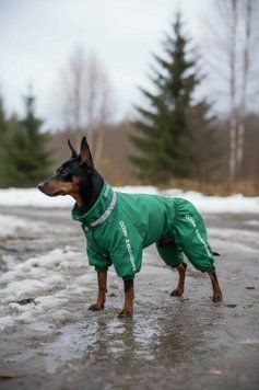 &Uuml;bergangs-Overall f&uuml;r Hunde kleiner Rassen 4/0113-02/33 фото