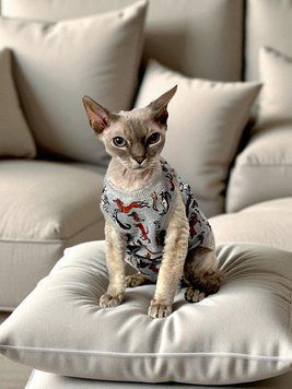 Трикотажна пижама для кота 1159/41/55 фото