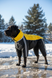 Winter jumpsuit for large breeds, Yellow-black, 5XL 61-62cm, Cane Corso, Men