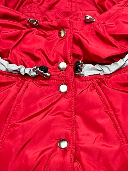 Winter jumpsuit for small breeds, Red, 3M 36-38cm, Dachshund, Men