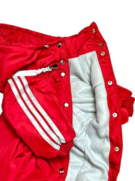Winter jumpsuit for small breeds, Red, 3M 36-38cm, Dachshund, Men