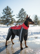 Winter dog snowsuit for large breeds, red/black, silicone insulation, fleece lining &ndash; sizes 5XL&ndash;10XL &ndash; fits Dobermann, Mastiff | Dog's Happiness, Red-black, 7XL 66-68cm, Doberman, Women