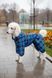 Regenoverall f&uuml;r gro&szlig;e Hunderassen kariert, mehrfarbig &ndash; Gr&ouml;&szlig;en XL&ndash;13XL &ndash; f&uuml;r Magyar Vizsla, Sch&auml;ferhund, Dobermann u. a. | Dog's Happiness 0142-01/41 фото