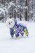 Raincoat jumpsuit for small breed, Assorts, S 29-30cm, Spitz, Men