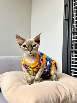 Трикотажна пижама для кота 1160/41/55 фото
