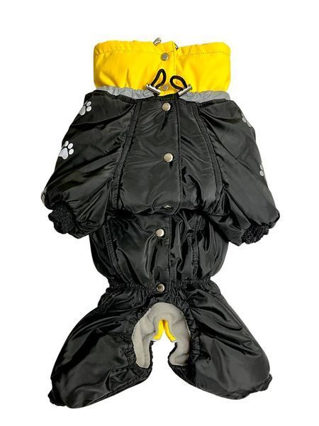 Winter jumpsuit for beagle