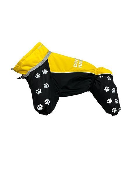 Winter jumpsuit for beagle