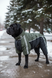 Winter dog snowsuit for large breeds, olive/black &ndash; sizes 4L&ndash;13XL &ndash; fits American Staffordshire Terrier, Dobermann, Cane Corso etc. | Dog's Happiness, Dark olive - black, 5XL 61-62cm, Cane Corso, Men