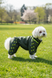 Regenoverall f&uuml;r kleine Hunderassen, dunkeloliv &ndash; Gr&ouml;&szlig;en XS&ndash;3L &ndash; f&uuml;r Malteser, Pudel, Zwergpinscher, Zwergschnauzer | Dog's Happiness 0116-01/44/55 фото