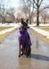 Jacket for dog, Violet, S 29-30cm, Unisex