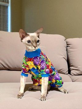 Трикотажна пижама для кота 1161/41/55 фото