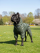 &Uuml;bergangsoverall f&uuml;r gro&szlig;e Hunderassen, dunkeloliv, aus Membranstoff, mit Fleecefutter &ndash; Gr&ouml;&szlig;en 5XL&ndash;13XL &ndash; f&uuml;r Cane Corso | Dog's Happiness 0116-02/20/55 фото