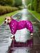 Transitional jumpsuit for large breeds, fuchsia, 4XL 58-60cm, American Staffordshire Terrier, Men