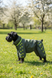 Regenoverall f&uuml;r kleine Hunderassen, dunkeloliv &ndash; Gr&ouml;&szlig;en XS&ndash;3L &ndash; f&uuml;r Malteser, Pudel, Zwergpinscher, Zwergschnauzer | Dog's Happiness 0116-01/44/55 фото