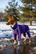 Winter jumpsuit for medium breeds, Violet, 4M 39-40cm, Basenji, Men