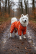 Regenoverall f&uuml;r gro&szlig;e Hunderassen, orange &ndash; Gr&ouml;&szlig;en XL&ndash;13XL &ndash; f&uuml;r American Staffordshire Terrier, Cane Corso, Pudel, Samojede | Dog's Happiness 0115-01/33 фото 1