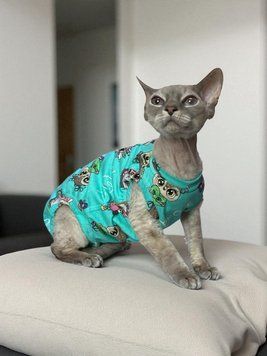 Трикотажна пижама для кота 1163/41/55 фото