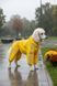 Regenoverall f&uuml;r gro&szlig;e Hunderassen mit Reflexstreifen, gelb, wasserdicht, mit d&uuml;nnem Futter &ndash; Gr&ouml;&szlig;en XL&ndash;6XL &ndash; f&uuml;r Pudel | Dog's Happiness 0114-01/36 фото