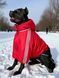 Winteroverall f&uuml;r gro&szlig;e Hunderassen, rot-schwarz, mit Silikonf&uuml;llung und Fleecefutter &ndash; Gr&ouml;&szlig;en 5XL&ndash;13XL &ndash; f&uuml;r Dobermann, Cane Corso | Dog's Happiness 021110-03/36 фото 1
