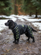 Transitionnal jumpsuit for medium breeds, Black, 3L 46-48cm, Spaniel, Men
