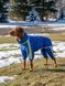 Spring/autumn dog jumpsuit for large breeds, blue &ndash; sizes XL&ndash;13XL &ndash; fits Vizsla, Cane Corso, Xoloitzcuintle, Rhodesian Ridgeback | Dog's Happiness, Blue, 3XL 56-57cm, Vizsla, Men
