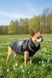 Jacket for small breeds, Black, S 29-30cm, Unisex