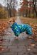 Full-body dog raincoat for small breeds, multicolour, membrane fabric &ndash; sizes XXS&ndash;2L &ndash; fits Bichon Frise etc. (art. 0123-01/20/55) | Dog's Happiness, Assorts, XS 26-28cm, Chihuahua, Men