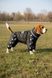 Raincoat jumpsuit for medium breeds, Black, 2L 43-45cm, Beagle, Women