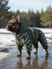 Winter jumpsuit for small breeds, Dark olive green, 2M 33-35cm, French Bulldog, Men