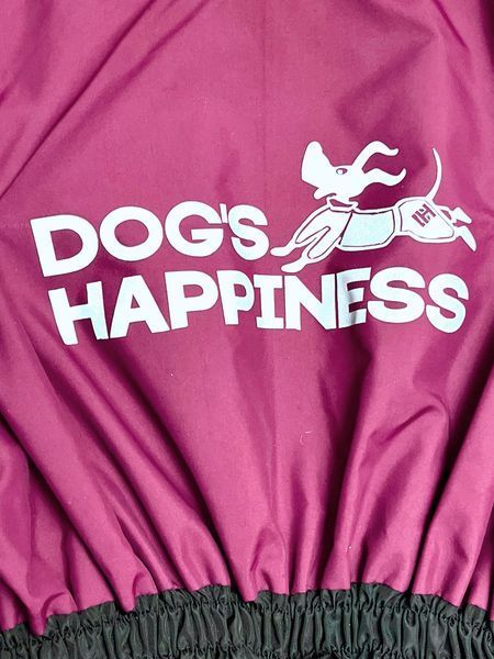 Transitional jumpsuit for small breeds, Violet, XS 26-28cm, Zwergpinscher, Men